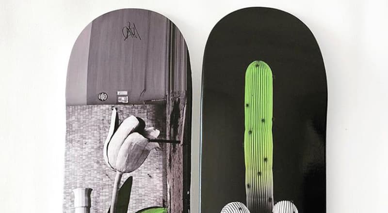 Ludo Skateboards