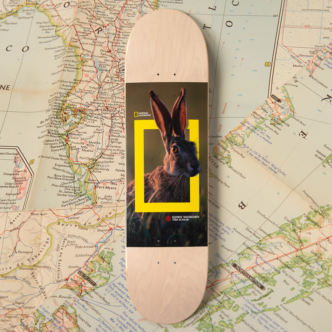 National Geographic Element Skateboards 6