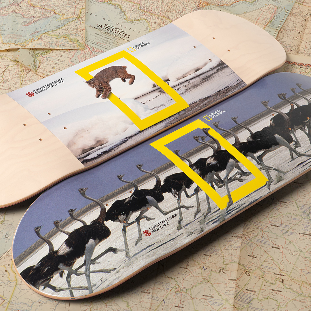 National Geographic Element Skateboards 7