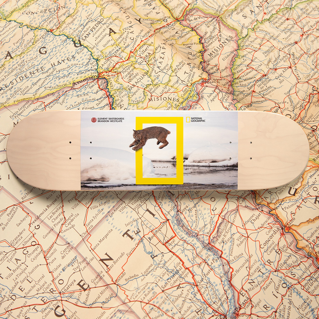 National Geographic Element Skateboards 8