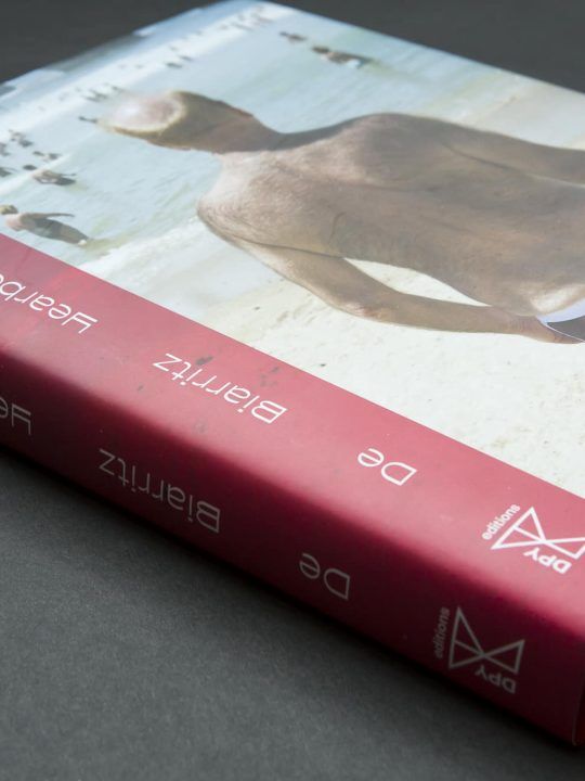 De Biarritz Yearbook Surf