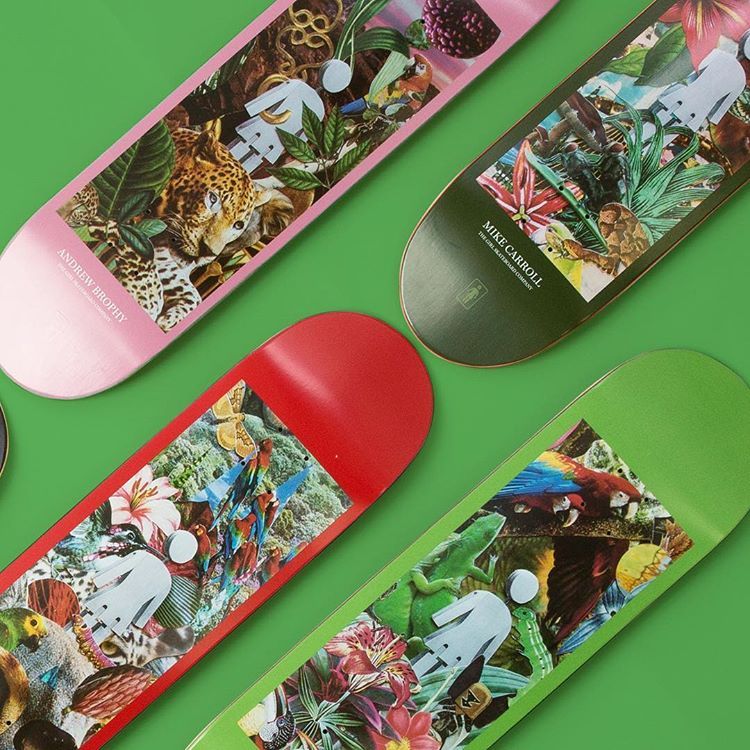 Jungle OG series by Girl Skateboards - The Daily Board
