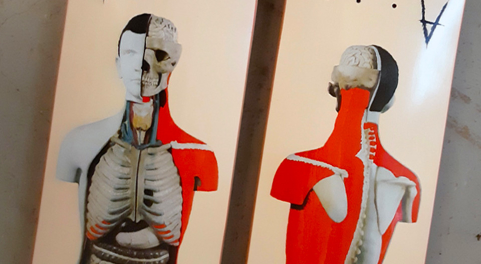 Anatomy pro series by PHNTM for Antiz Skateboards