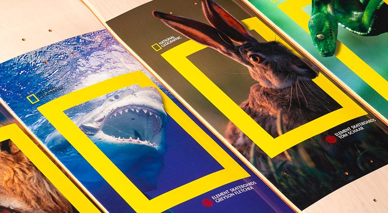 National Geographic x Element Skateboards