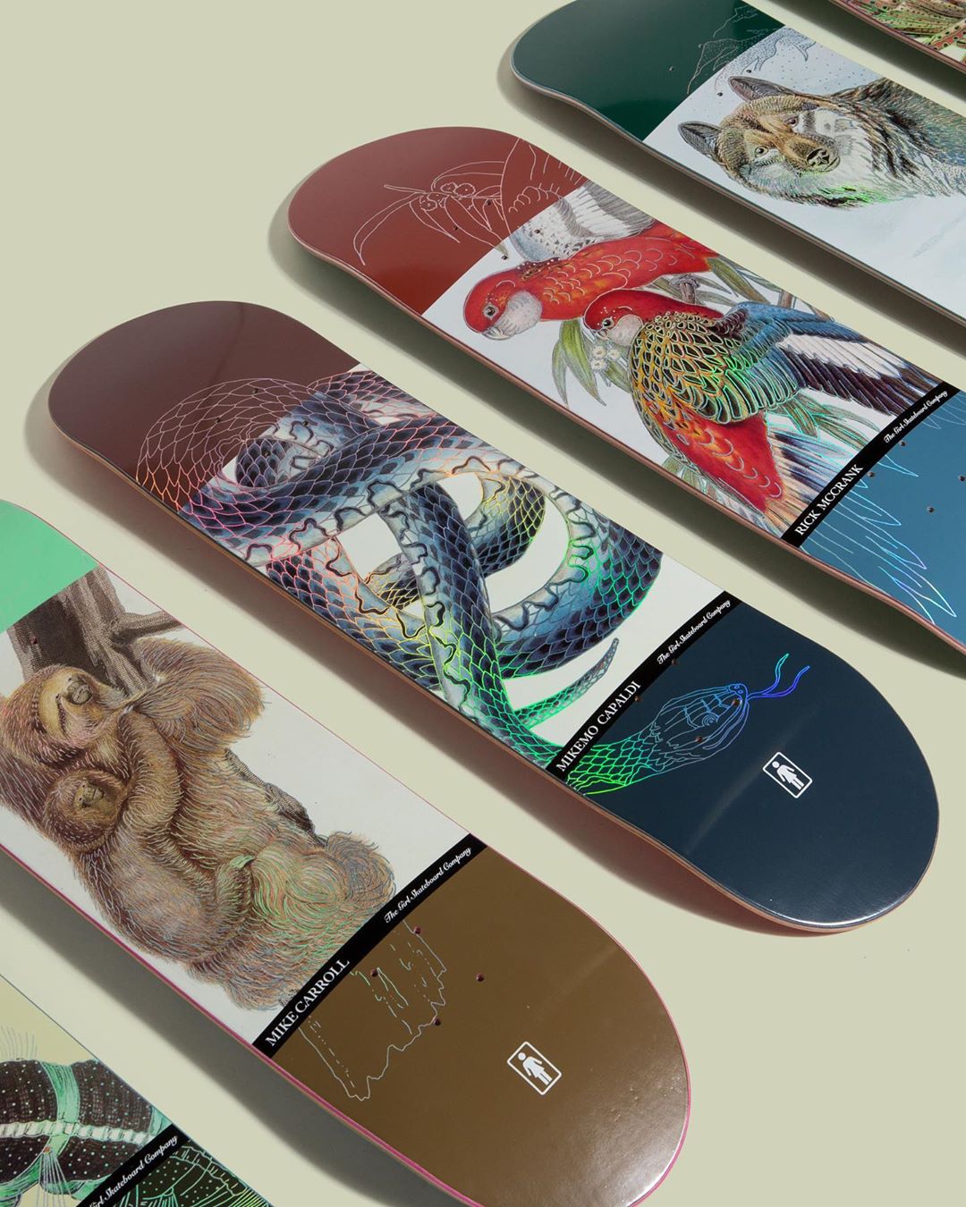 Ecol OG Series Par Girl Skateboards 3