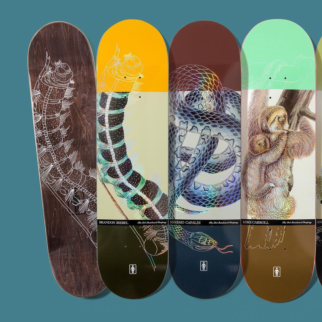 Ecol OG Series Par Girl Skateboards 6