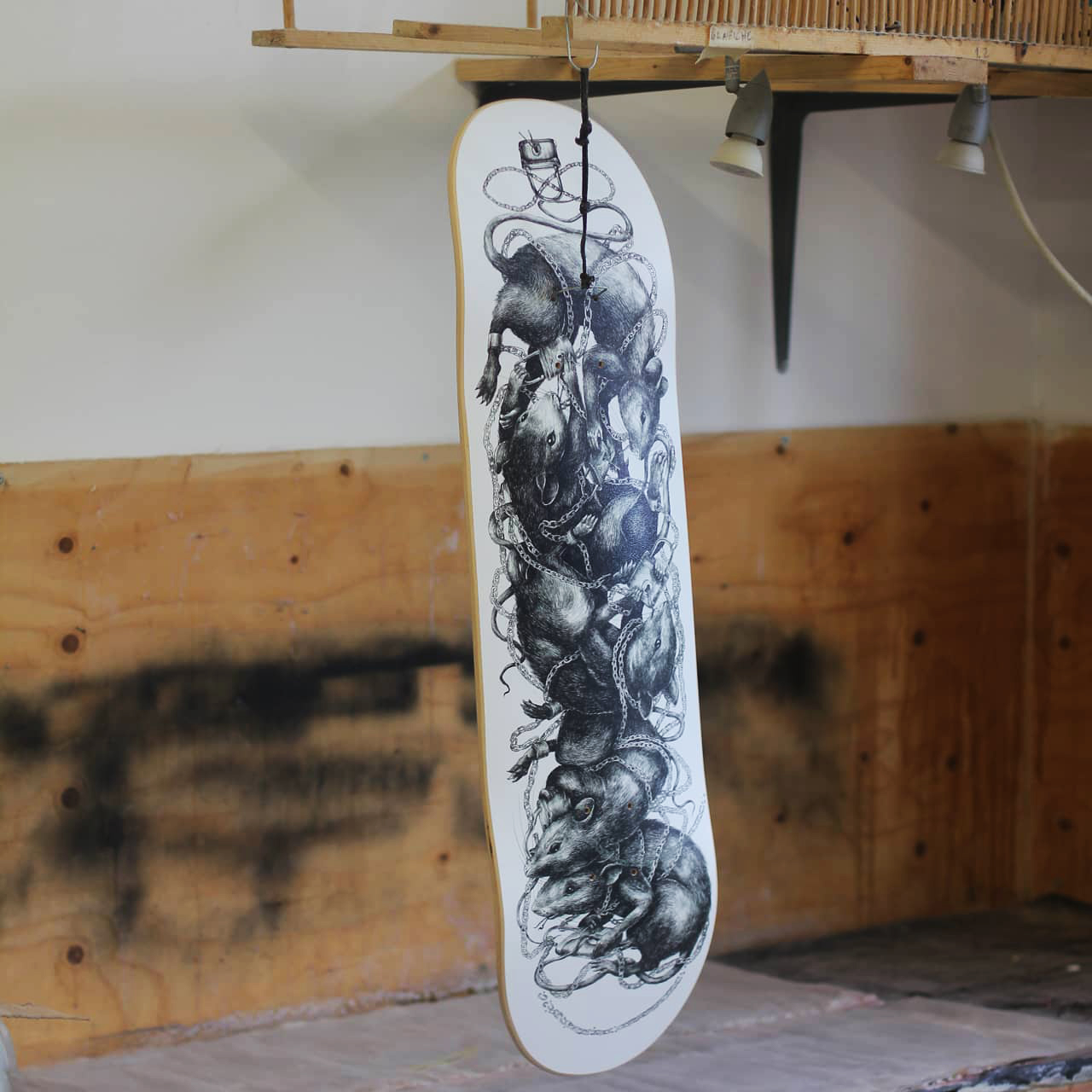 Ericailcane Bonobolabo Skateboard 1