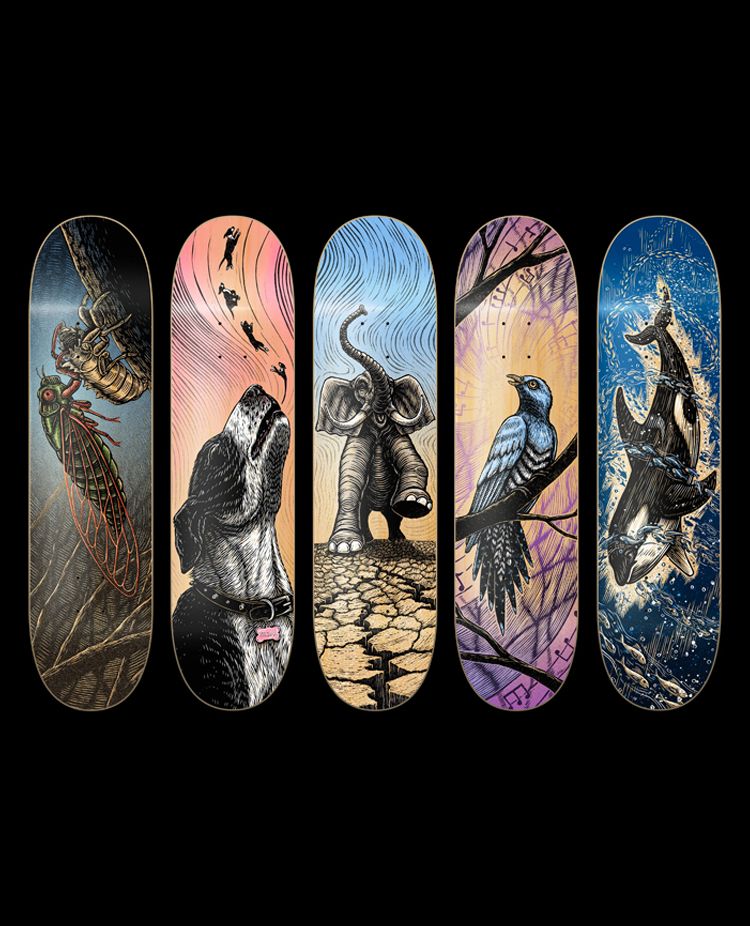 Communication Series By Dylan Goldberg X Techne Skateboards