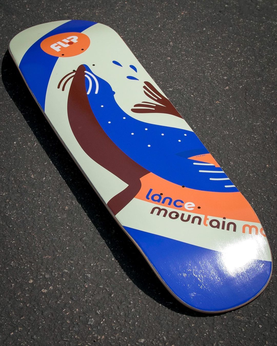 Kaja Series By Kaja Merle X Flip Skateboards7